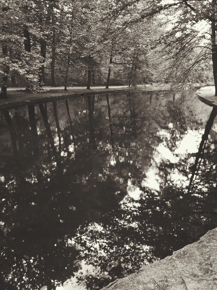 Wald