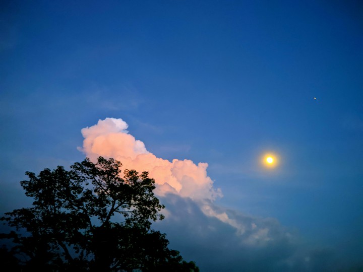 moonlight