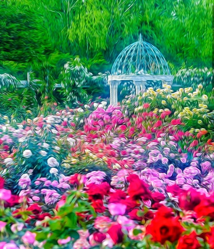 garden