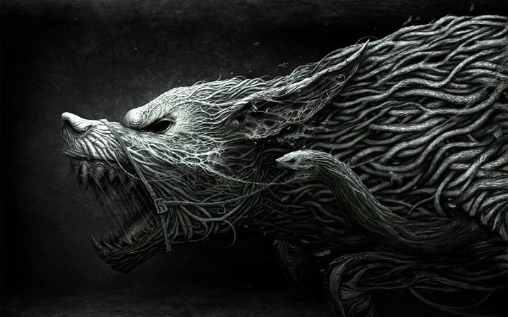 Wolf Wallpaper