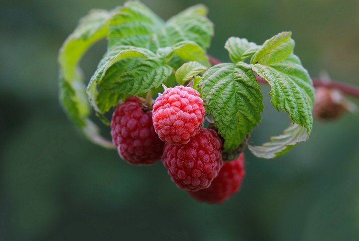 W❤