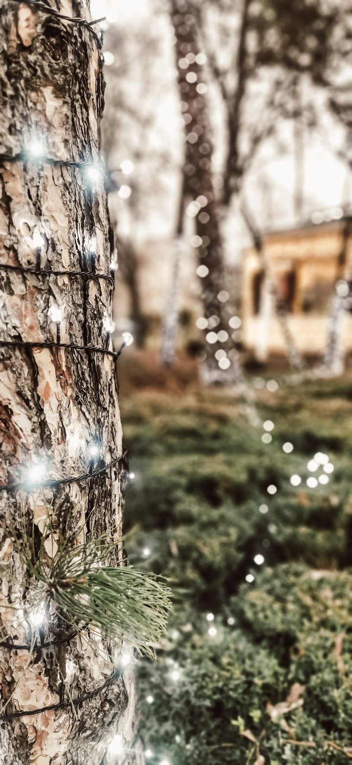 lights