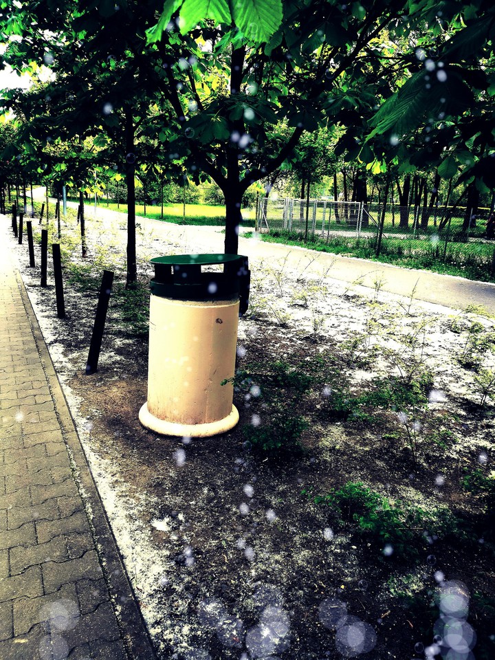 Pavement