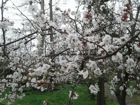 spiring day