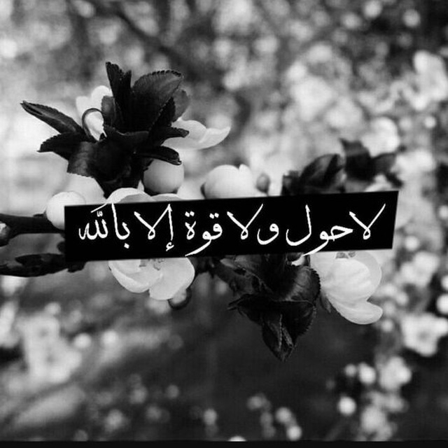 لا إله إلا الله. .