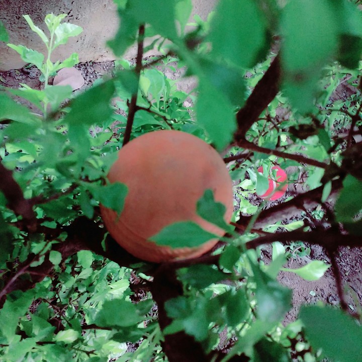 Find How Many Ball !?!?
