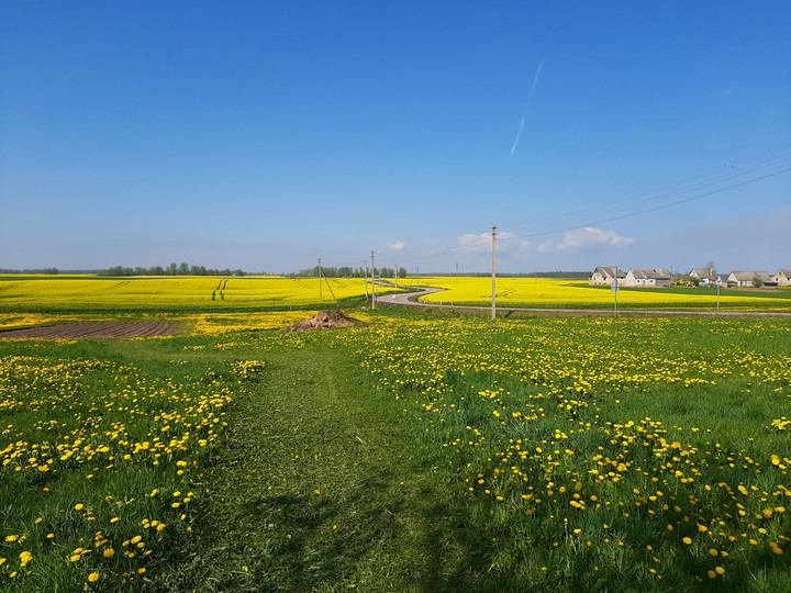 Spring