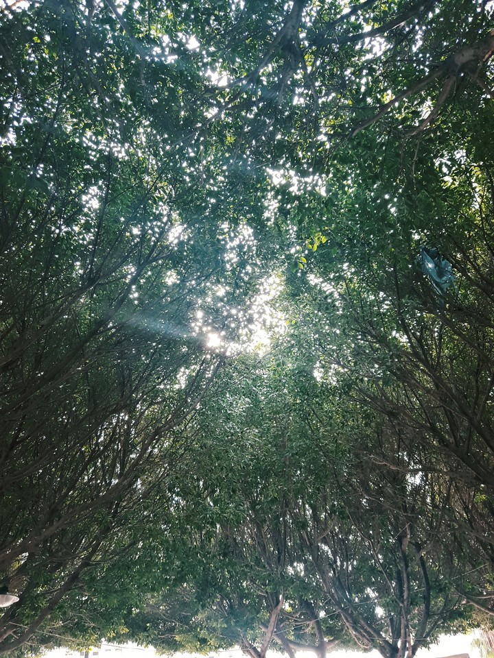 hope light