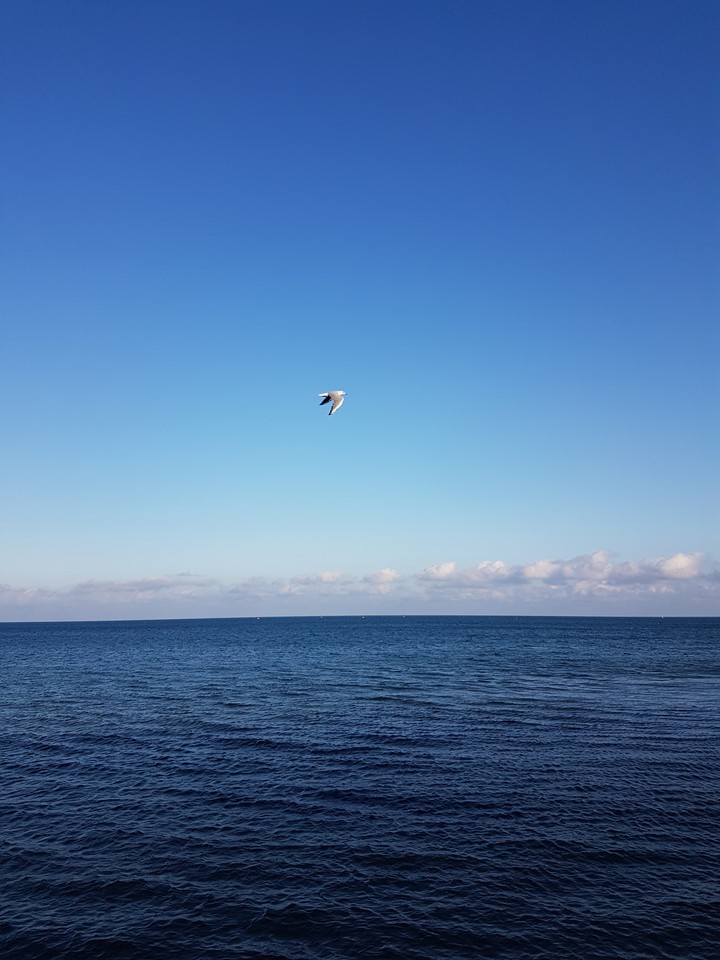 море