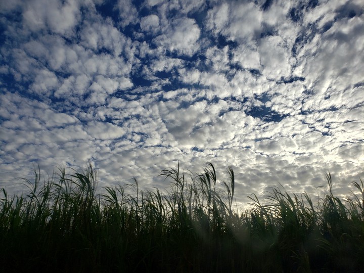 Heavenly Sky