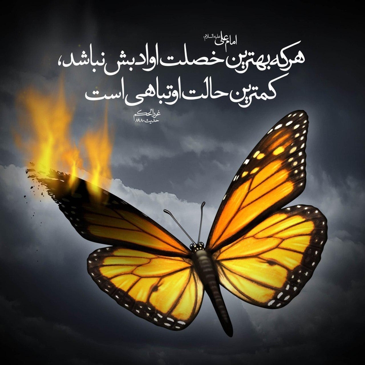 FEEL OF KIND