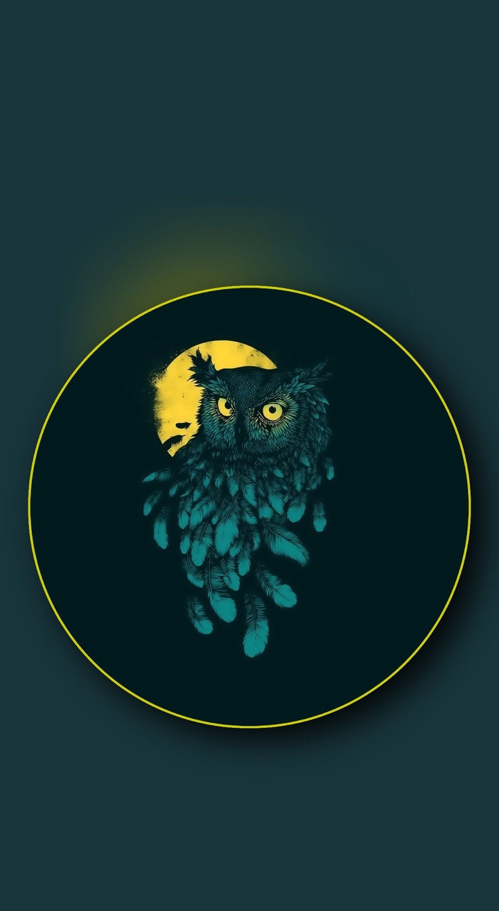 Owl