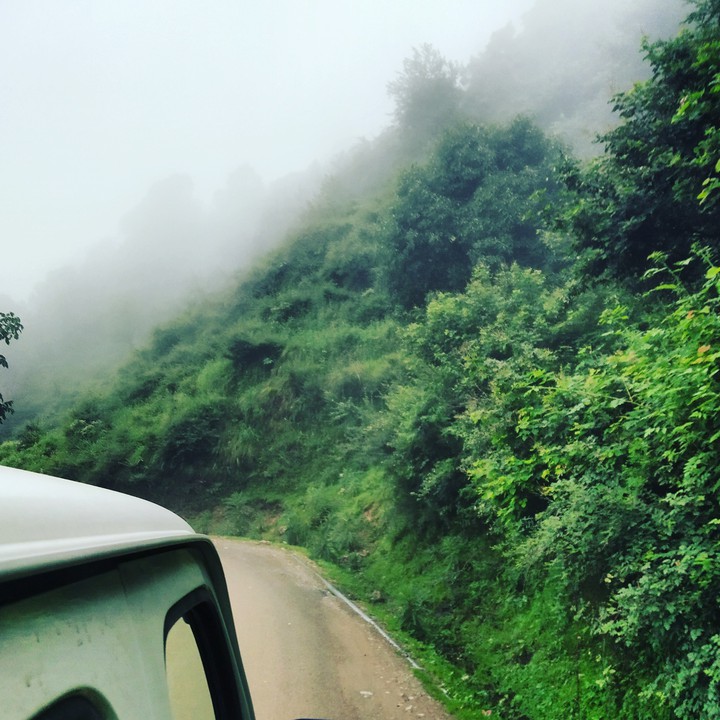 Through Wilderness