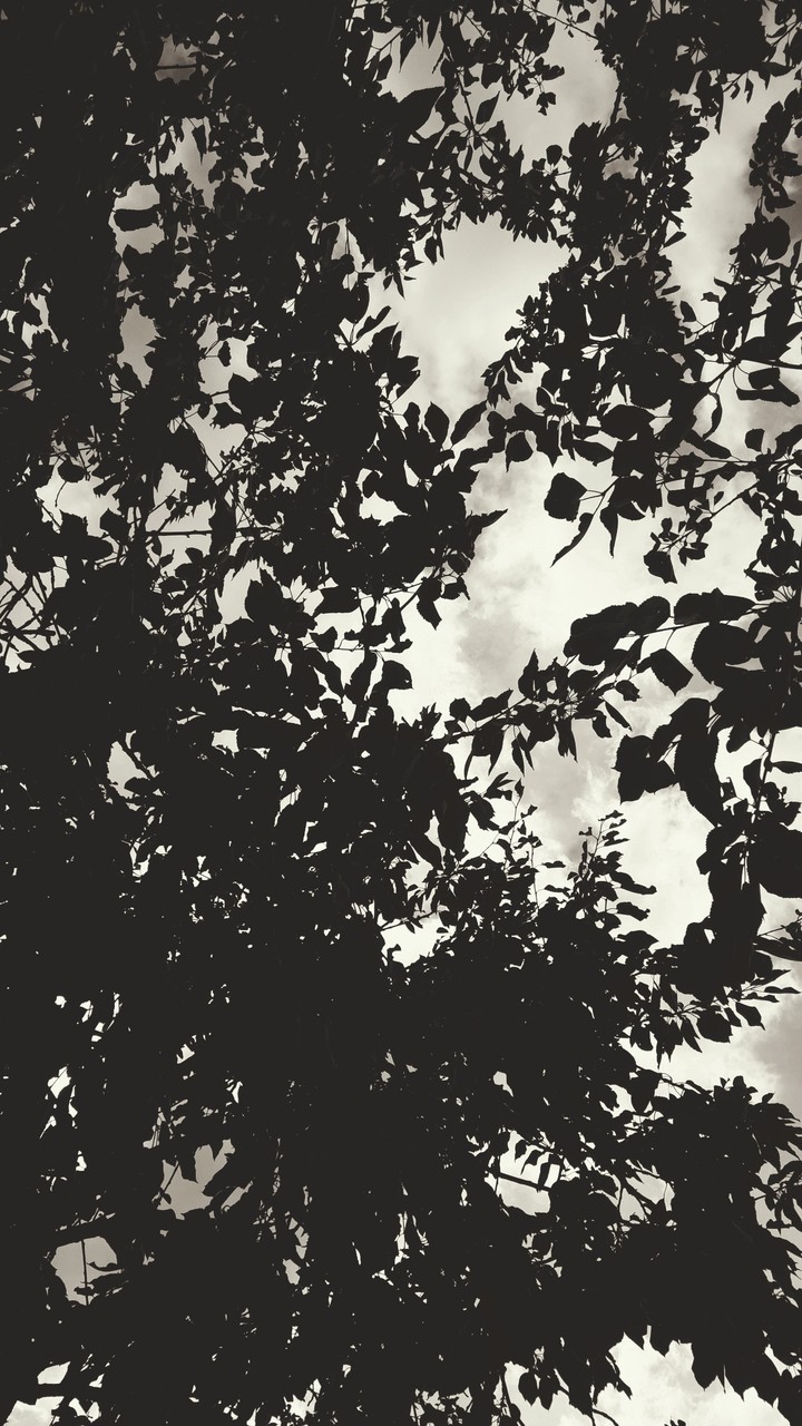 Durchblick