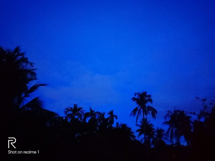 Early Morning