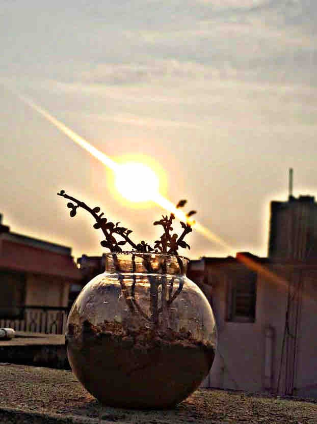 clicked by myself Aamina Ashraf