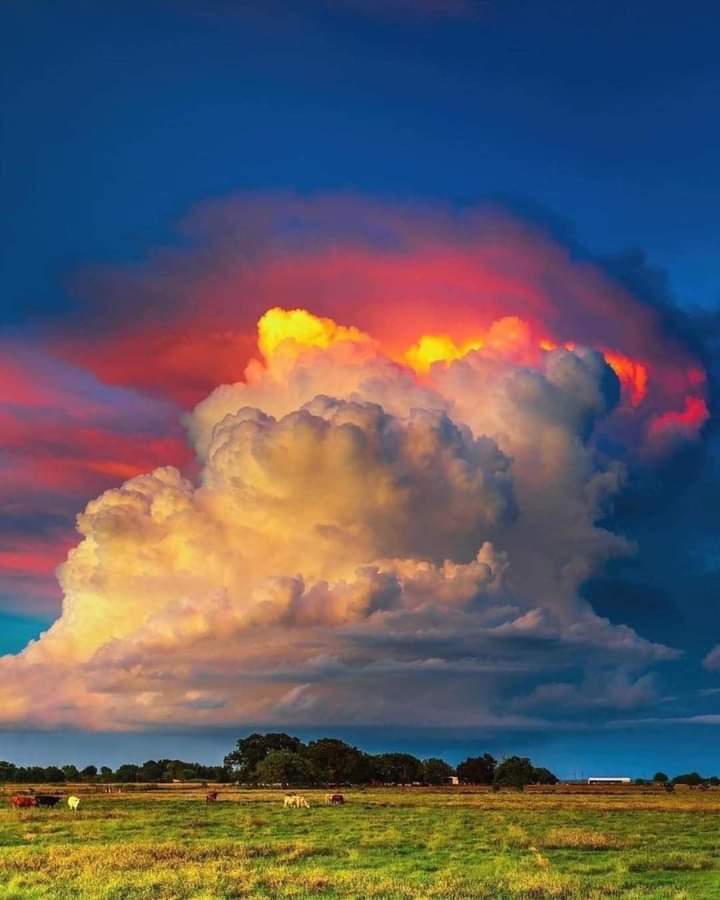 cloud ☁️
