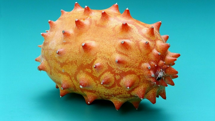 fruit