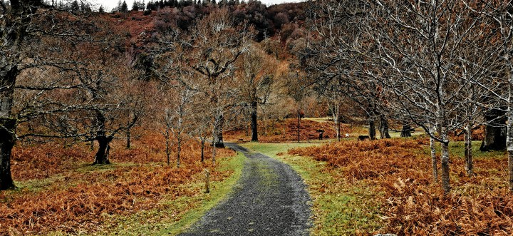 Powerscourt Ireland