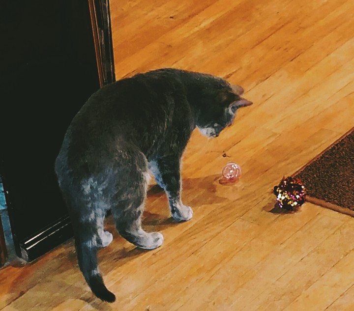 Edie enjoying Yule