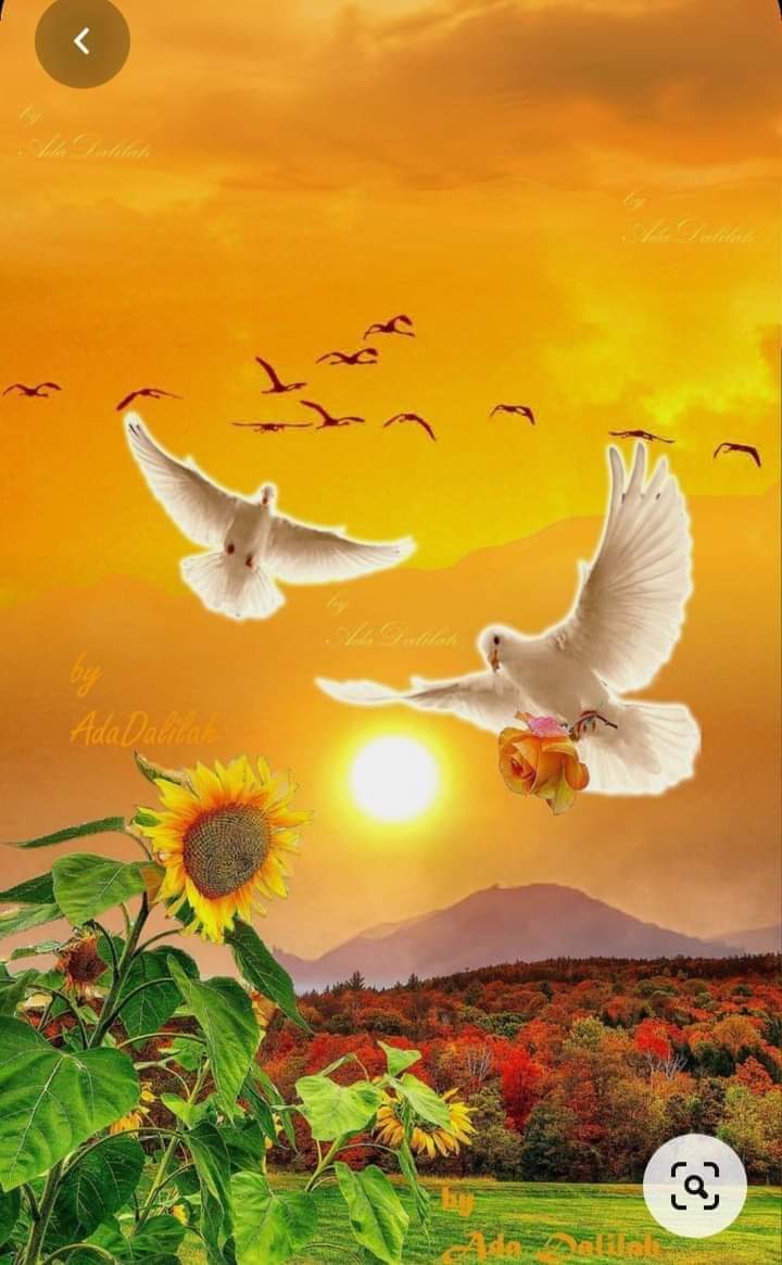 Amanecer