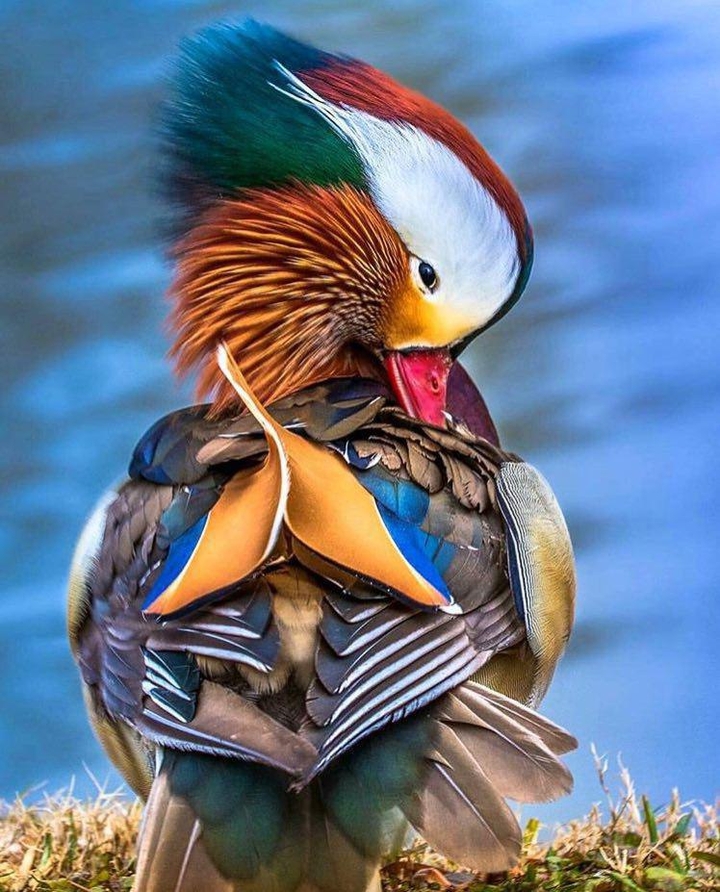 god's so beatiful creature