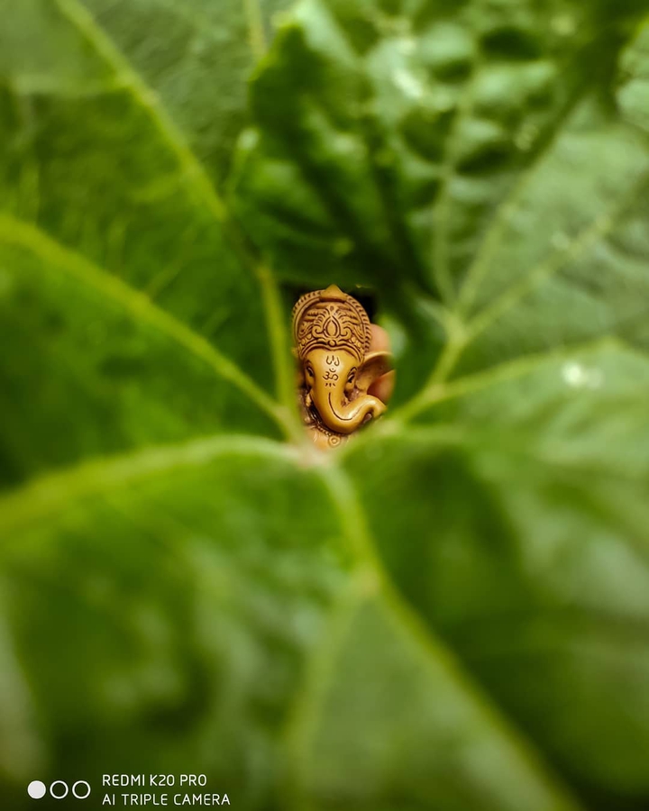 LORD GANESH