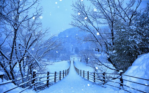 lovely....