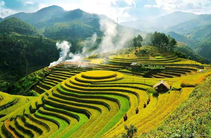 Highlands - Vietnam