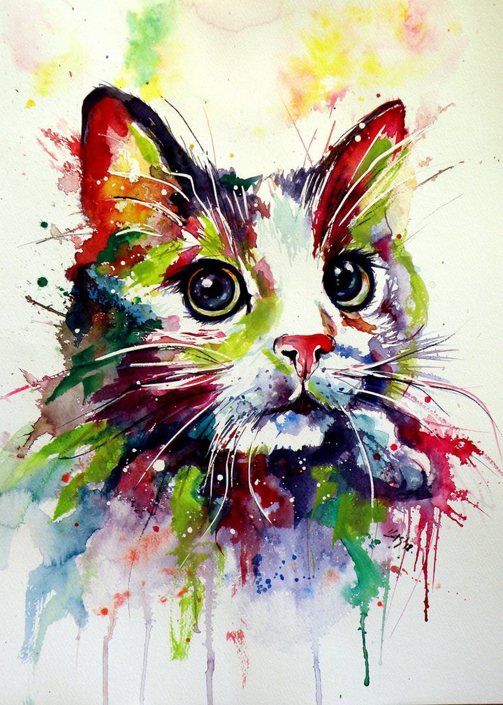 kitten