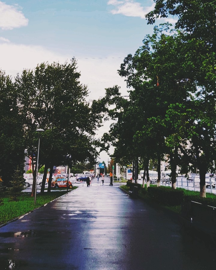 The pavement