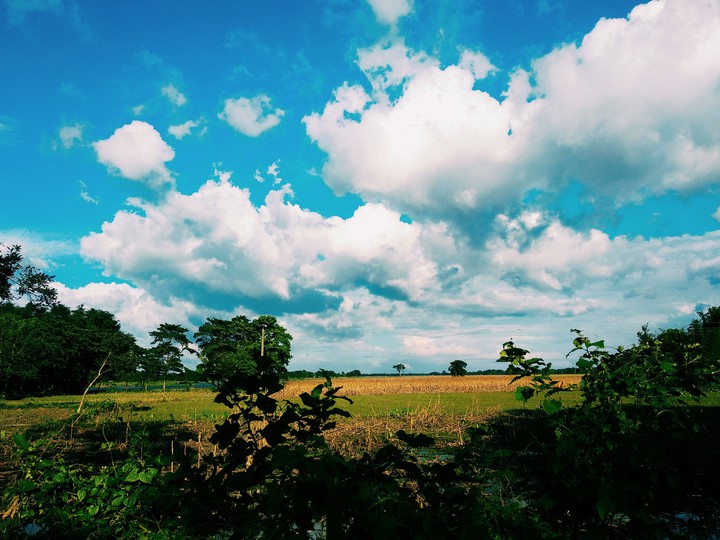 Blue sky