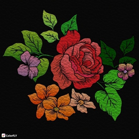 Colour Flowers