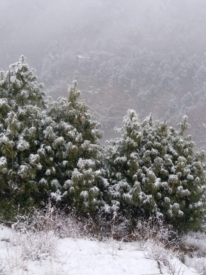 Snow
