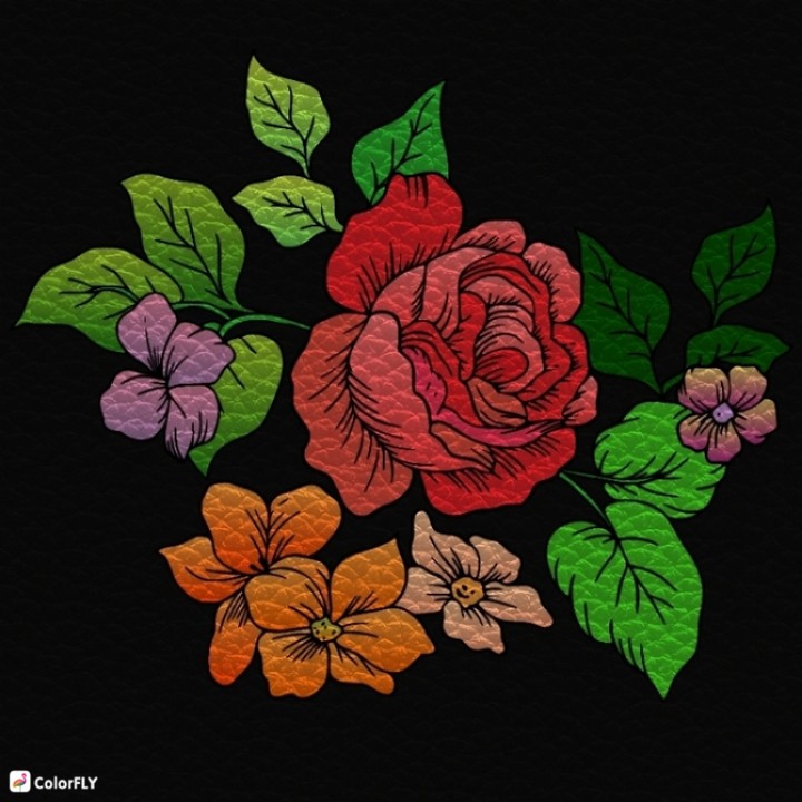 Colour Flowers
