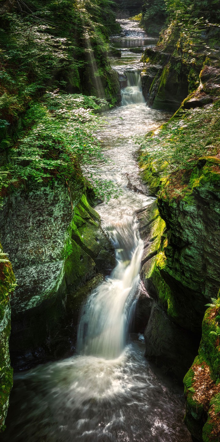 ♥