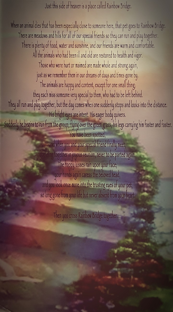 Rainbow Bridge
