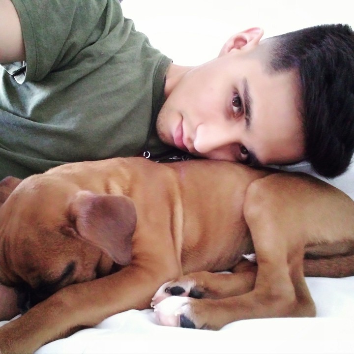 Amor