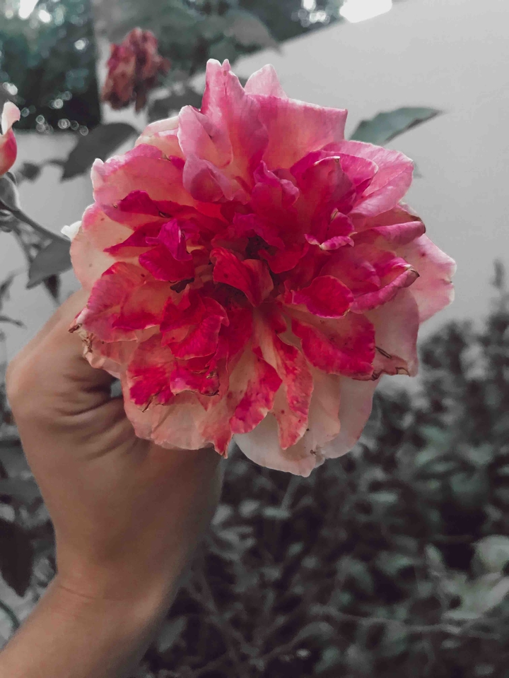 ♥️