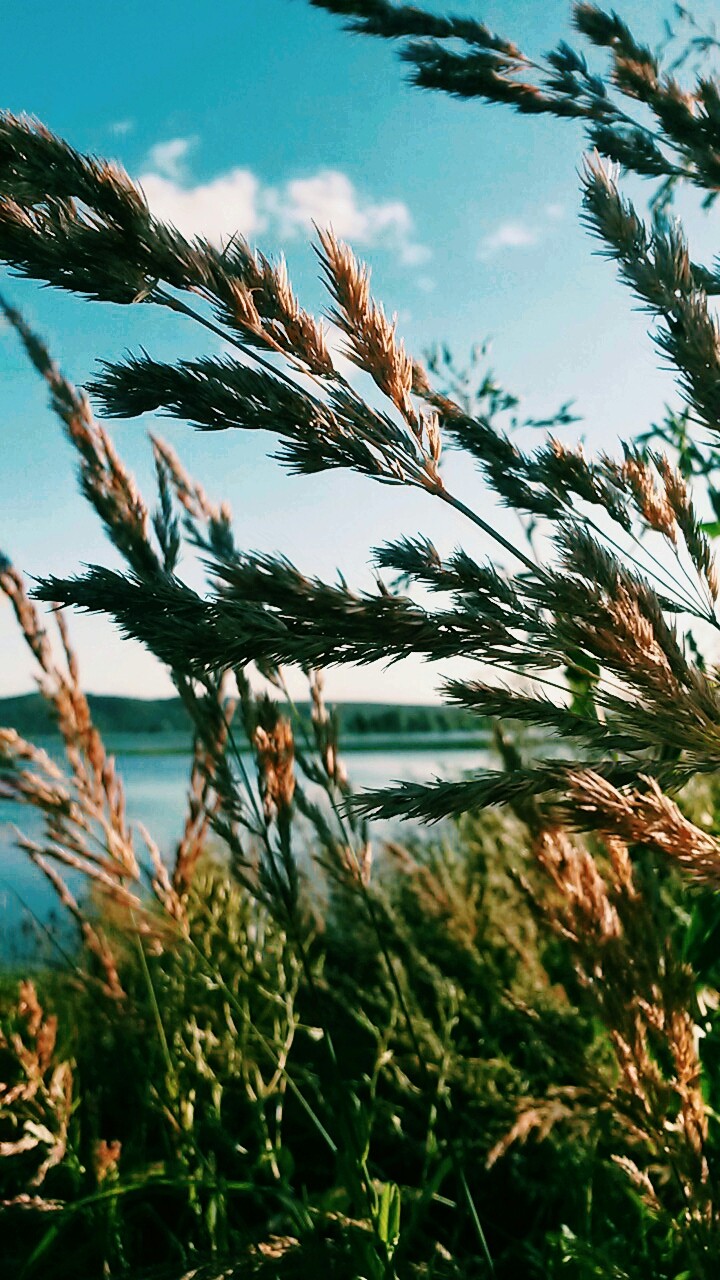 ☆