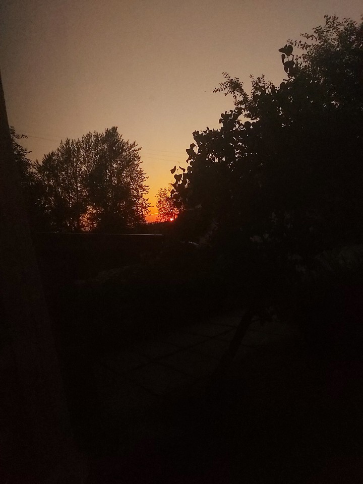 summer sun