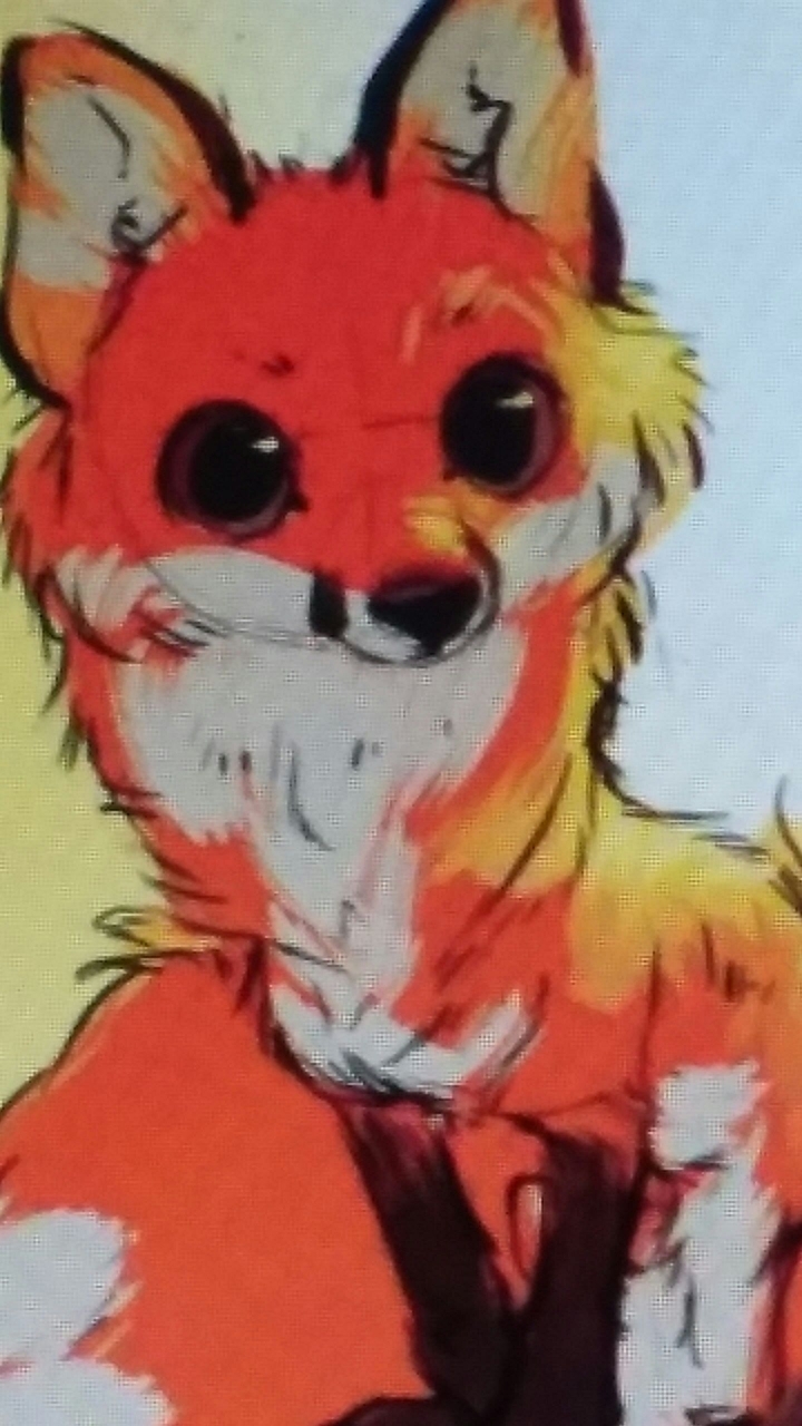 red fox
