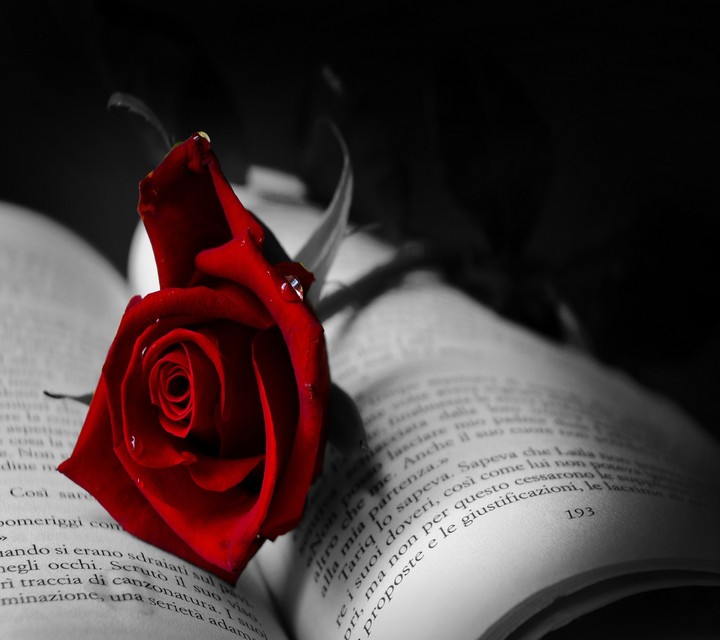 love book