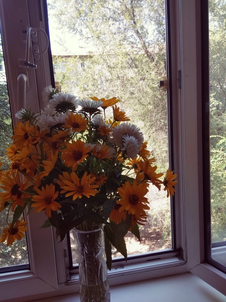 flower
