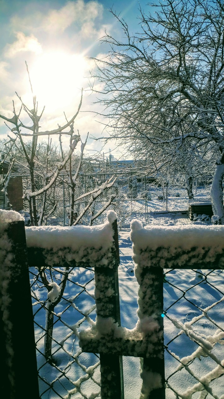 winter