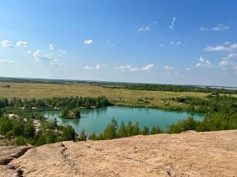 тапети plant, lake