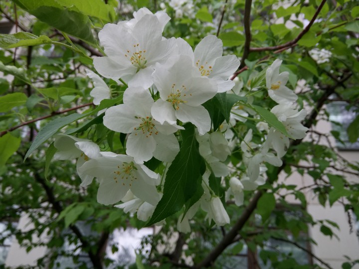 24.05.2018