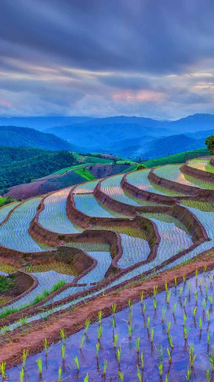 Valley