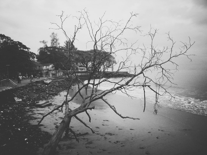 fort kochi