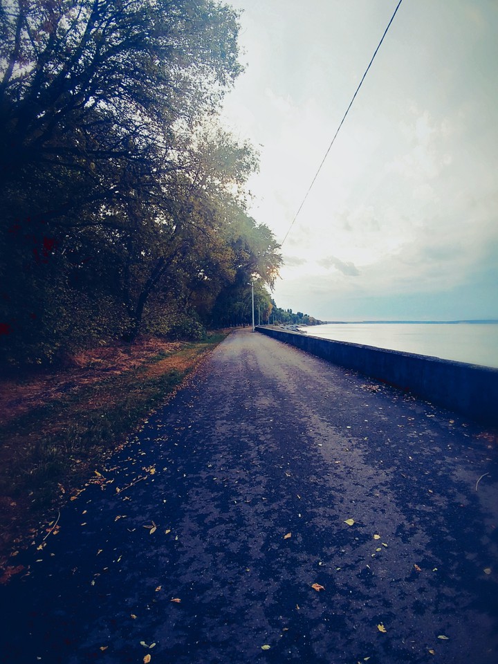 Autumn road